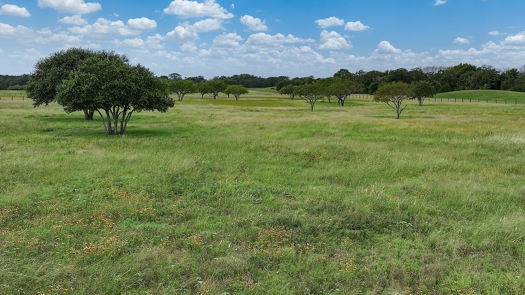 2625 Burke Road Flatonia, TX 78941 - Photo 4 of 19