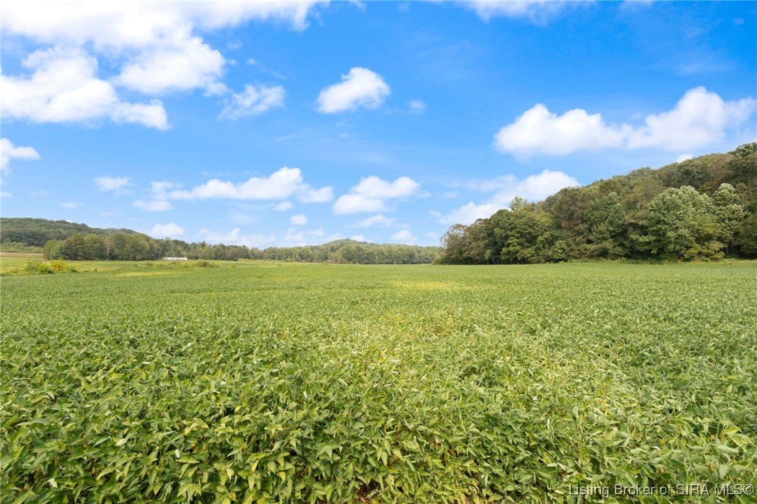 9333 North Haleysburg Road Vallonia, IN 47281 - Photo 2 of 4
