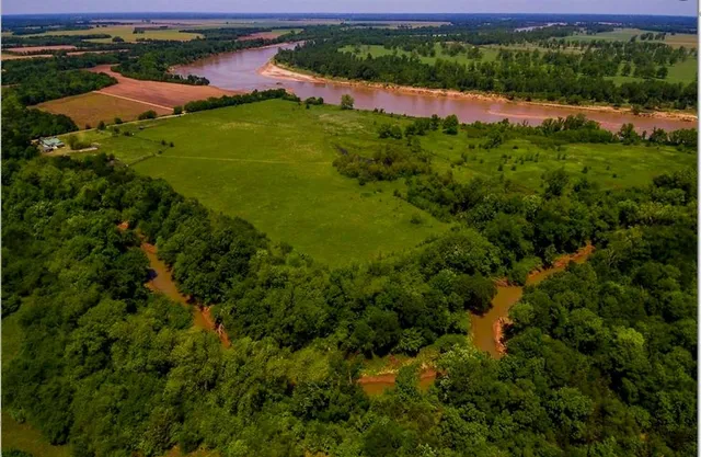 a view of a garden with a lake