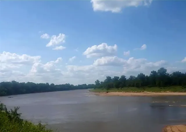 a view of street with large trees