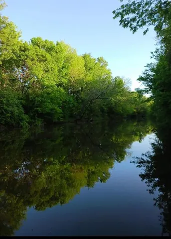 a view of a lake from a yard