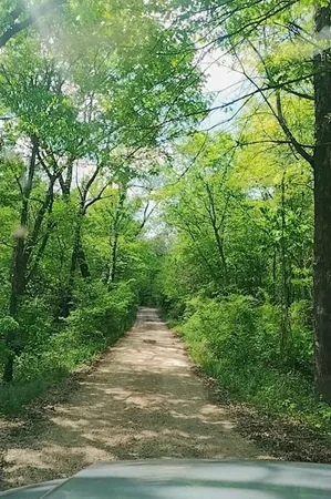 a view of yard