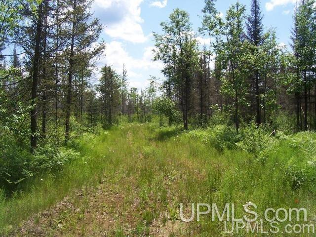 174 Forest Road Iron River, MI 49935 - Photo 1 of 2