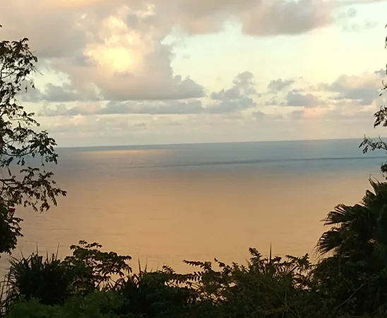 $665,000 | 35-2064 Old Mamalahoa Highway, Laupahoehoe, HI 96764