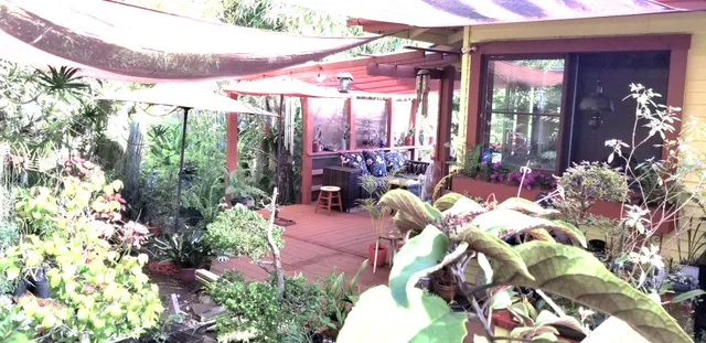 a outdoor space with lots of potted plants