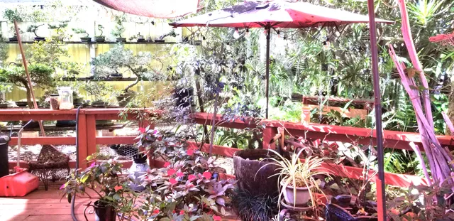 a view of an outdoor space