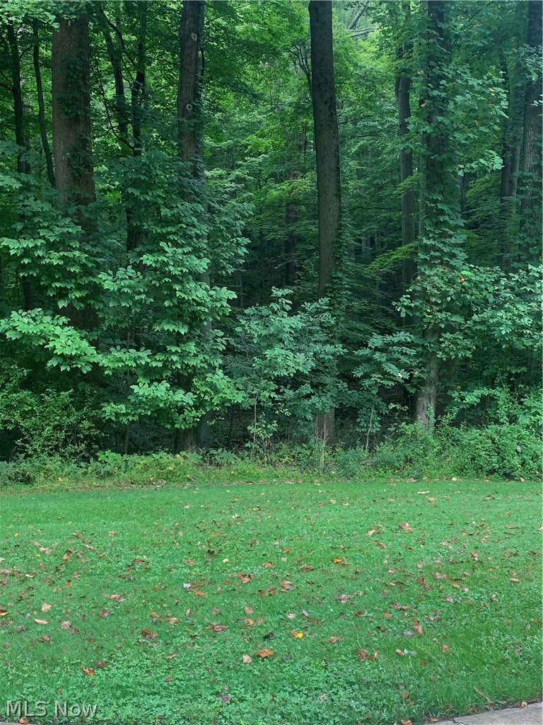 9760 Smith Road Willoughby, OH 44094 - Photo 28 of 30 Gallery Image 28
