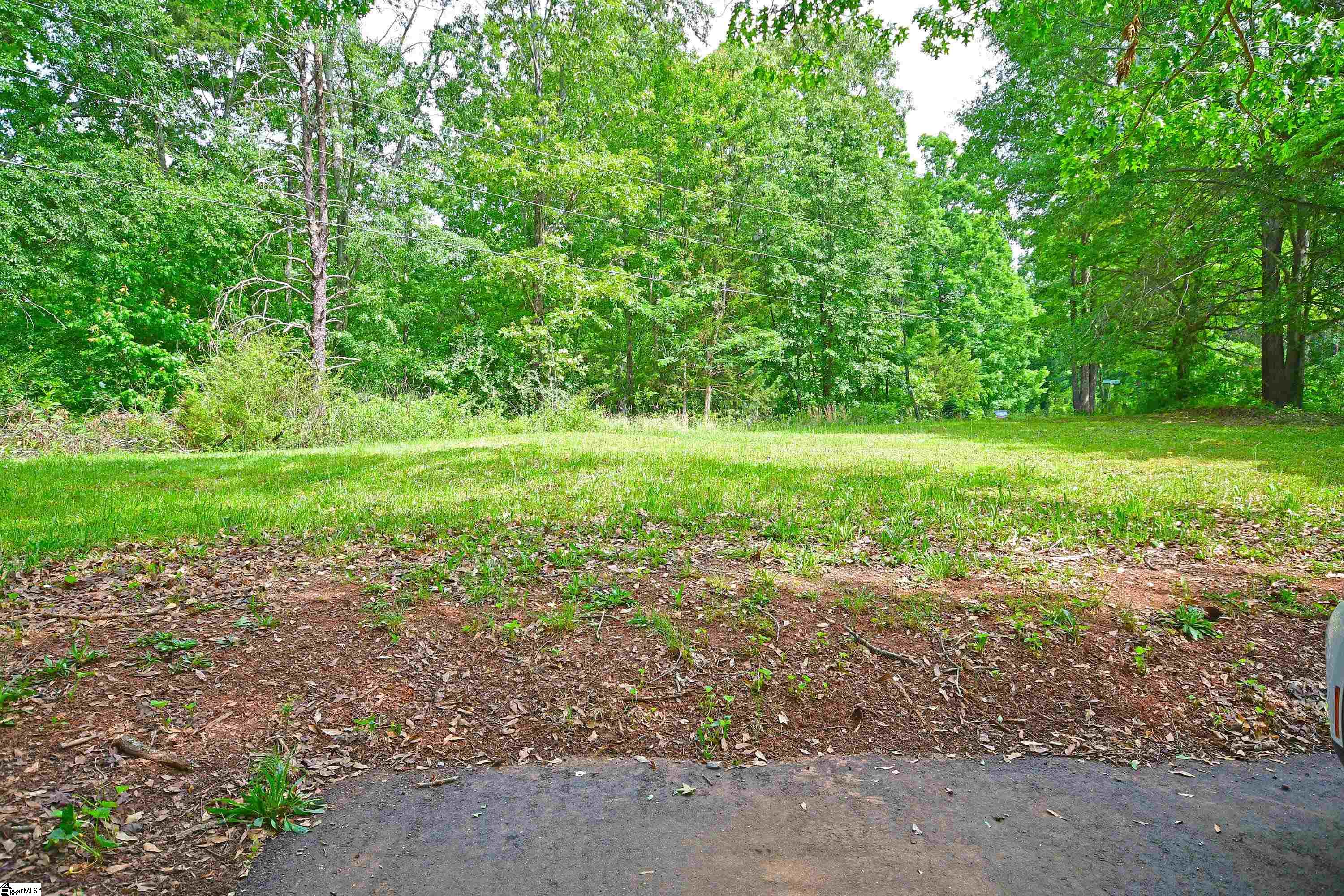 316 Blacksnake Road Pickens, SC 29671 - Photo 8 of 36