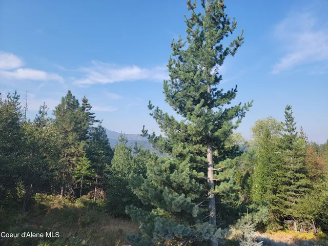 $259,000 | Lot J Lot J Frosty Lane, Pinehurst, ID 83850