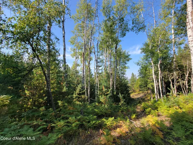 $259,000 | Lot J Lot J Frosty Lane, Pinehurst, ID 83850