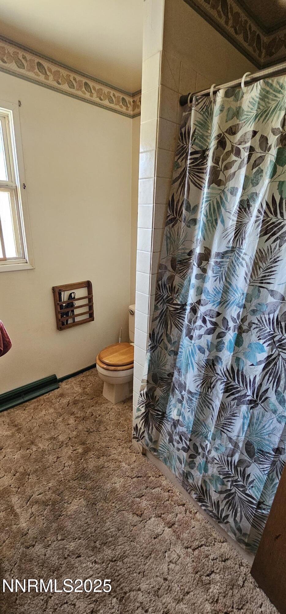 316 Toiyabe Road Kingston, NV 89310 - Photo 18 of 32 a bathroom with a toilet and a shower