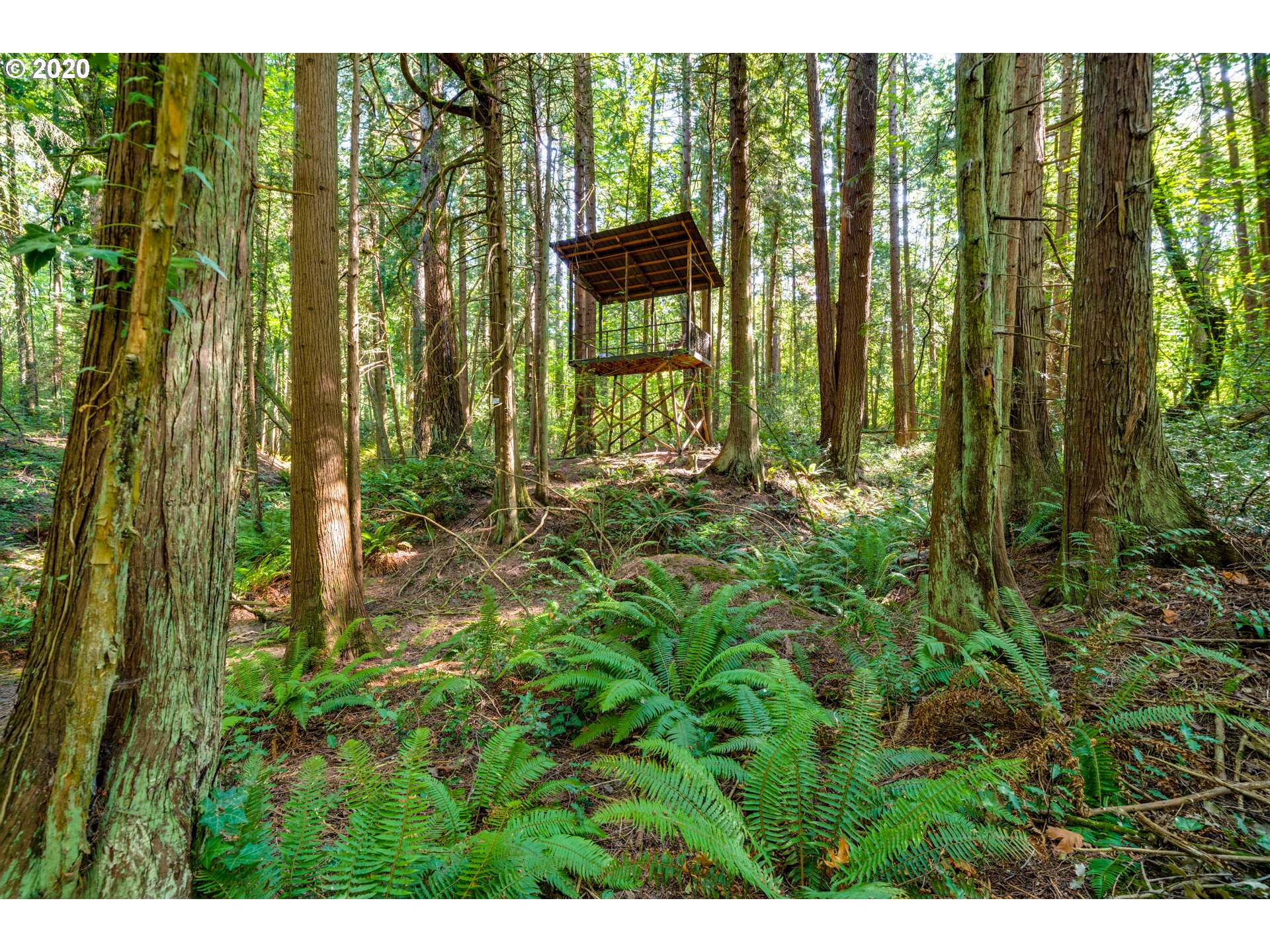 151 Northwest Miller Road Portland, OR 97229 - Photo 29 of 32 Gallery Image 29