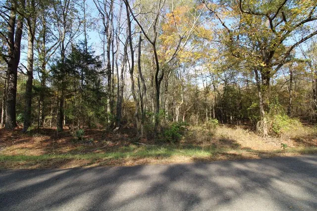 a view of a yard with a tree
