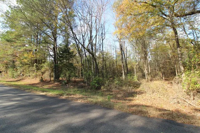a view of dirt yard with a large tree