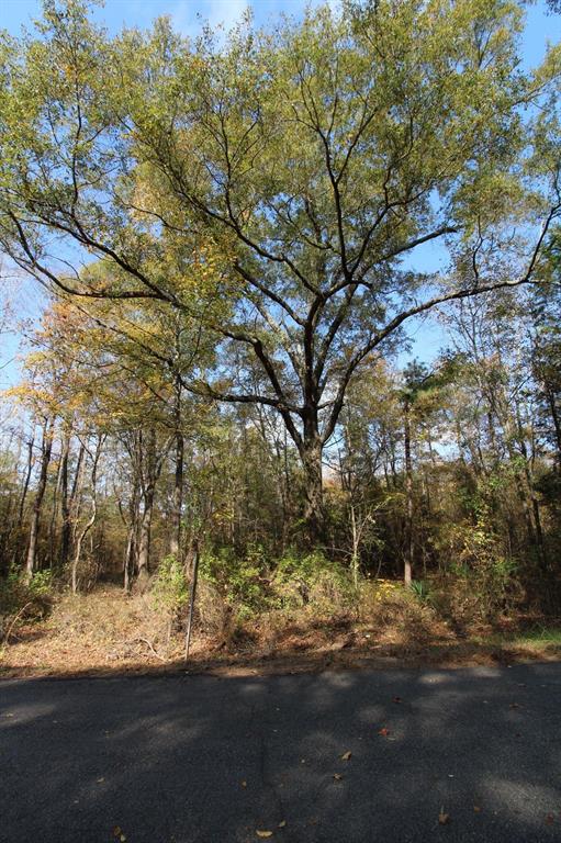 0 Harris Road Minden, LA 71055 - Photo 4 of 8 a view of a yard with a tree