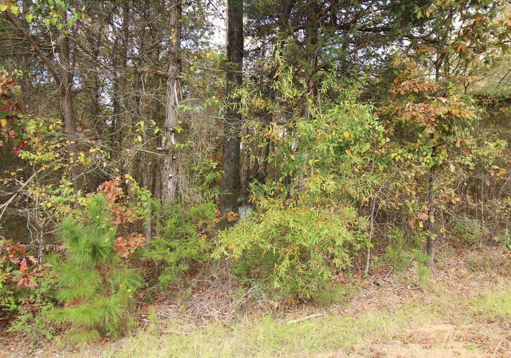 0 Harris Road Minden, LA 71055 - Photo 5 of 8 a view of a yard with a tree