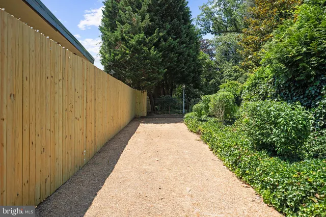 a view of a backyard