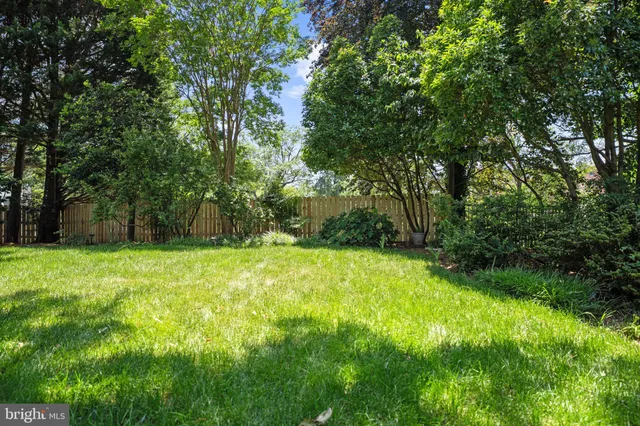 a view of a yard with a trees