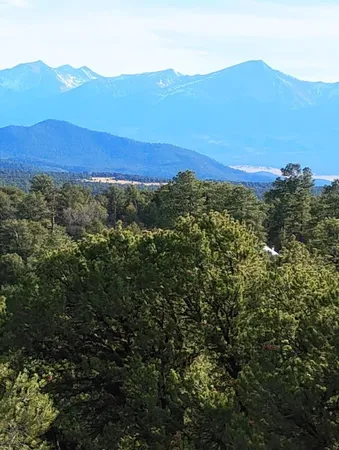 $40,000 | 1105 Owens Lane, Cotopaxi, CO 81223