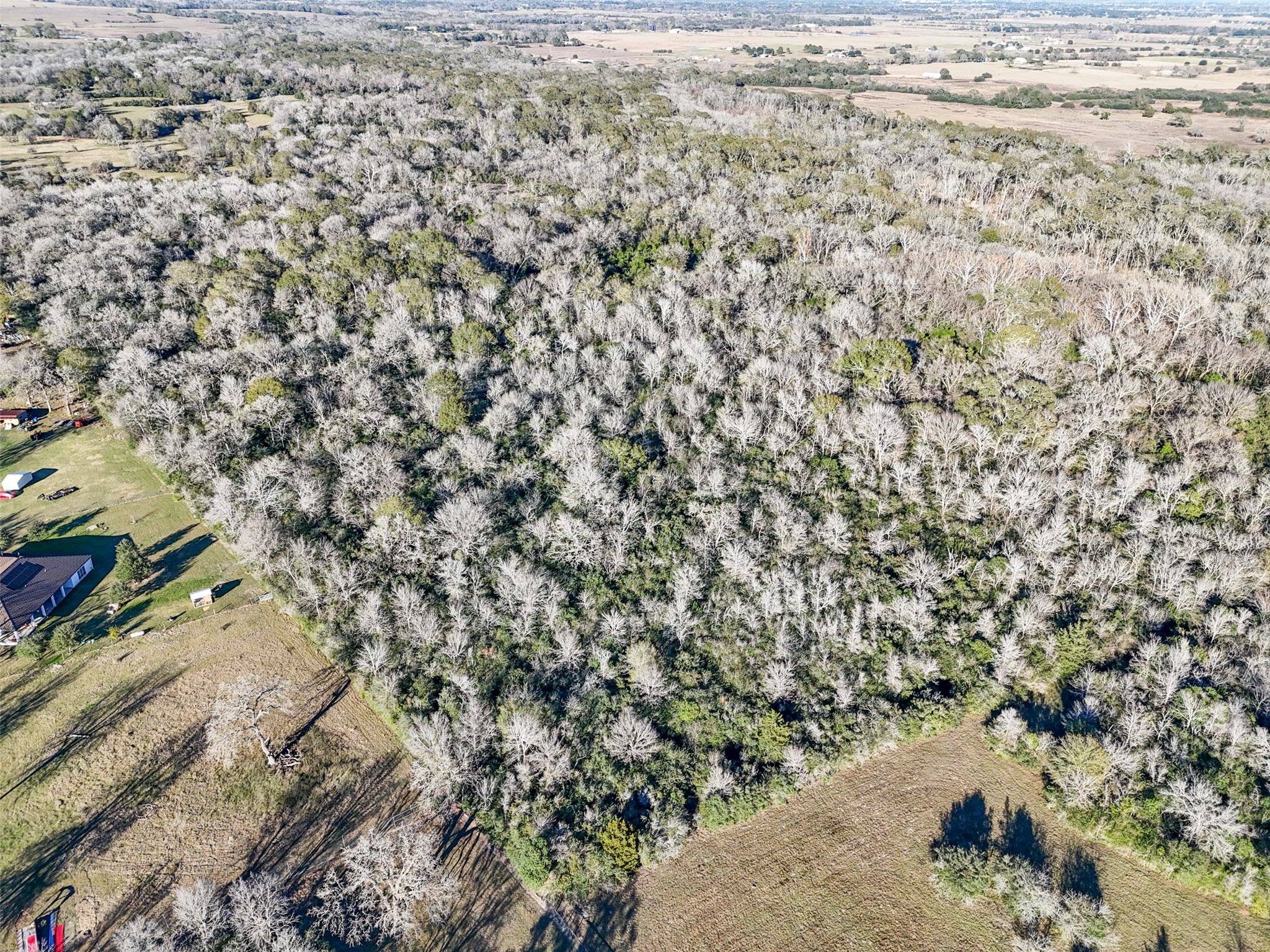 Tbd Jozwiak Lane Prairie View, TX 77445 - Photo 8 of 10 Wide view of open land highlighting generally level terrain and usable acreage.