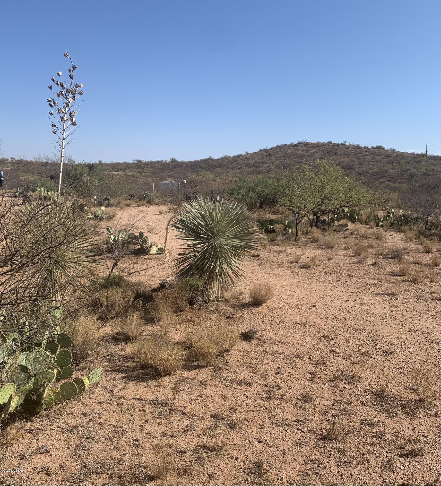 East Goldbug Road Oracle, AZ 85623 - Photo 8 of 9 a view of a dry yard with trees