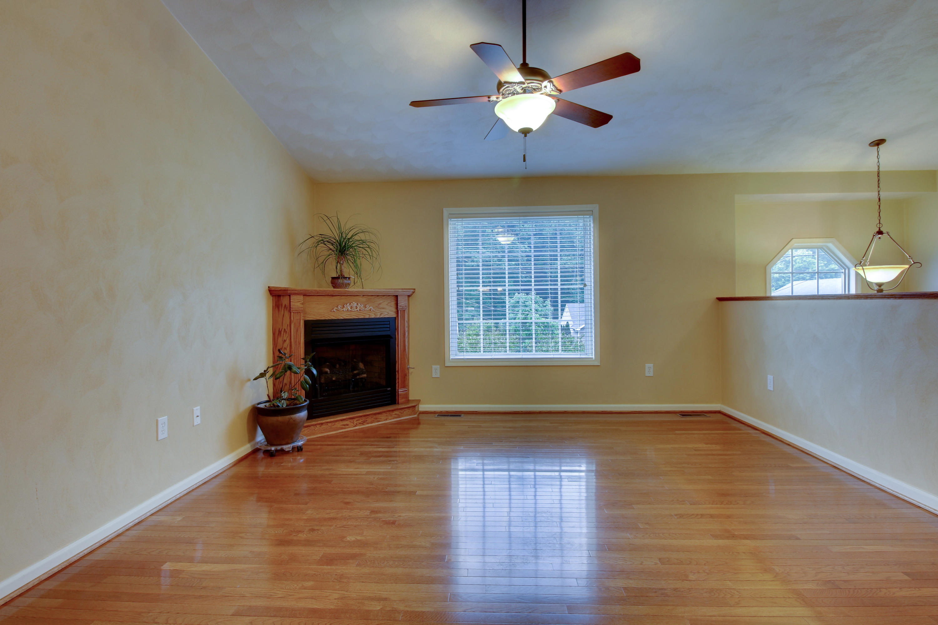 4173 Daugherty Road Salem, VA 24153 - Photo 5 of 34 _MG_6330_1_2