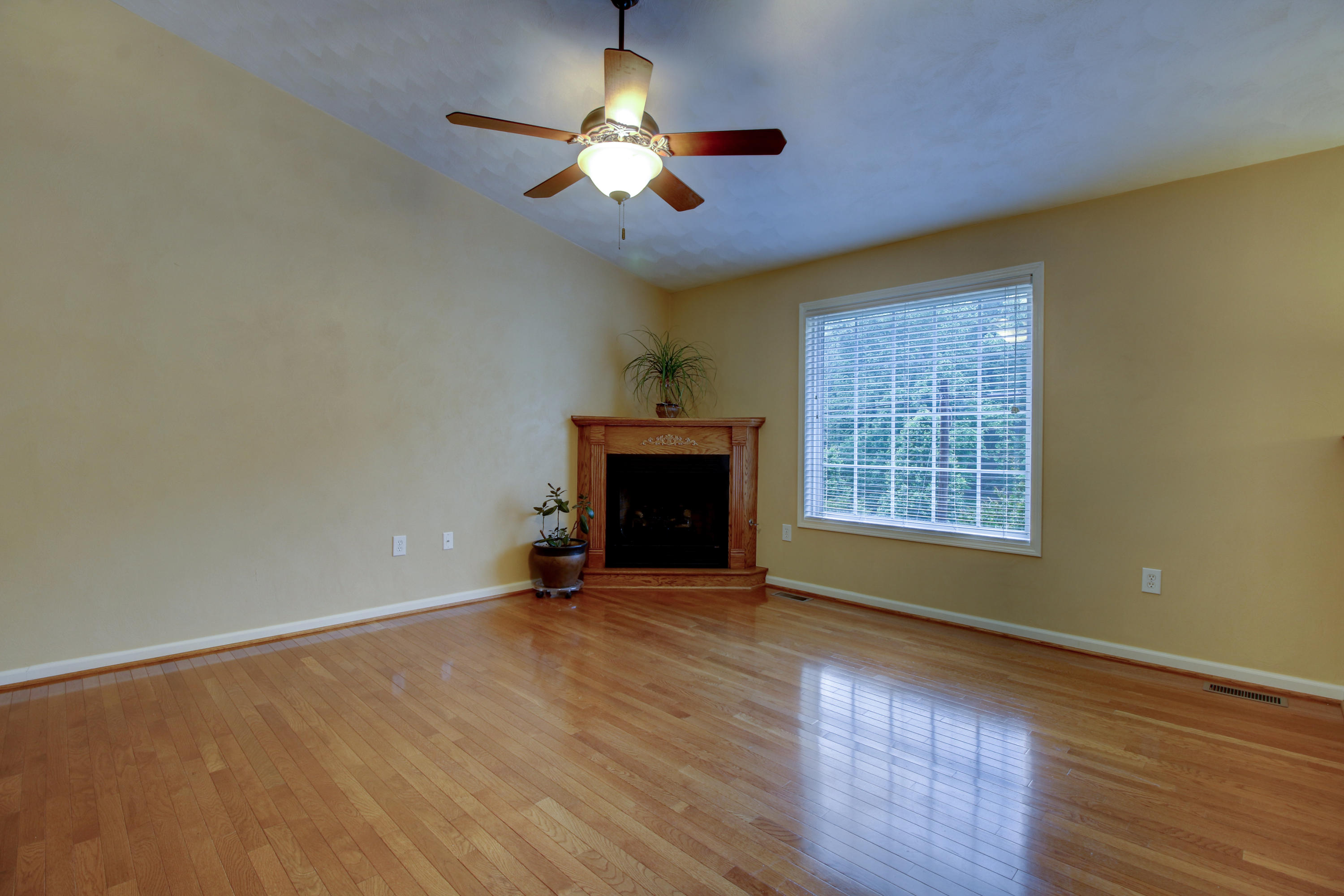 4173 Daugherty Road Salem, VA 24153 - Photo 8 of 34 _MG_6366_7_8