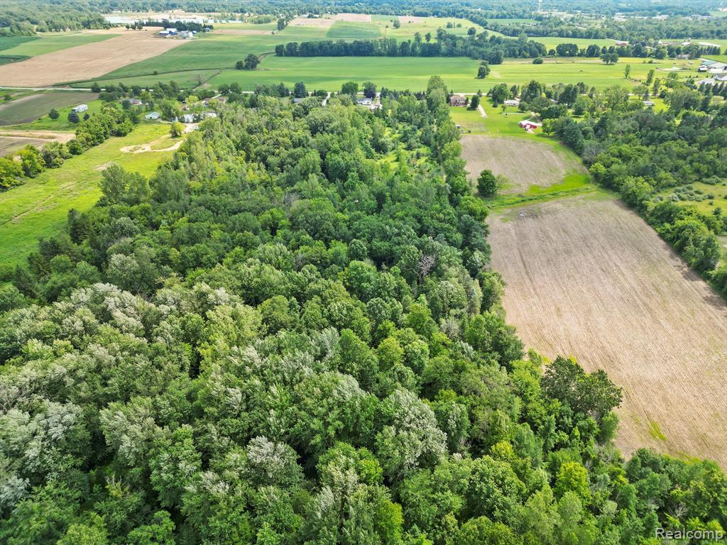 7693 Dryden Road Almont, MI 48003 - Photo 44 of 47