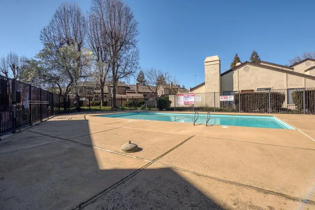 a view of a park with plants and trees