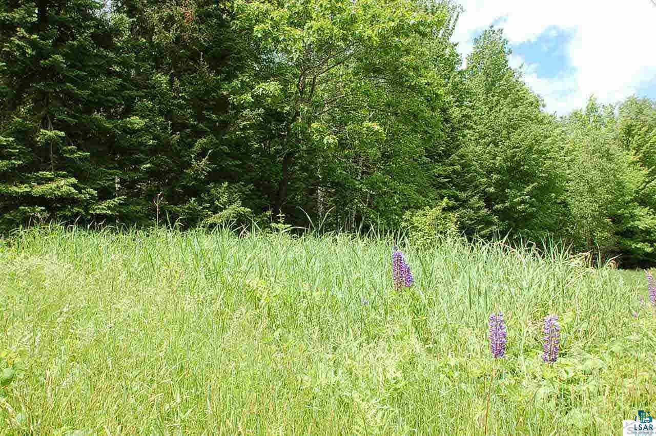 81265 McCulloch Road Bayfield, WI 54814 - Photo 3 of 9 Gallery Image 3