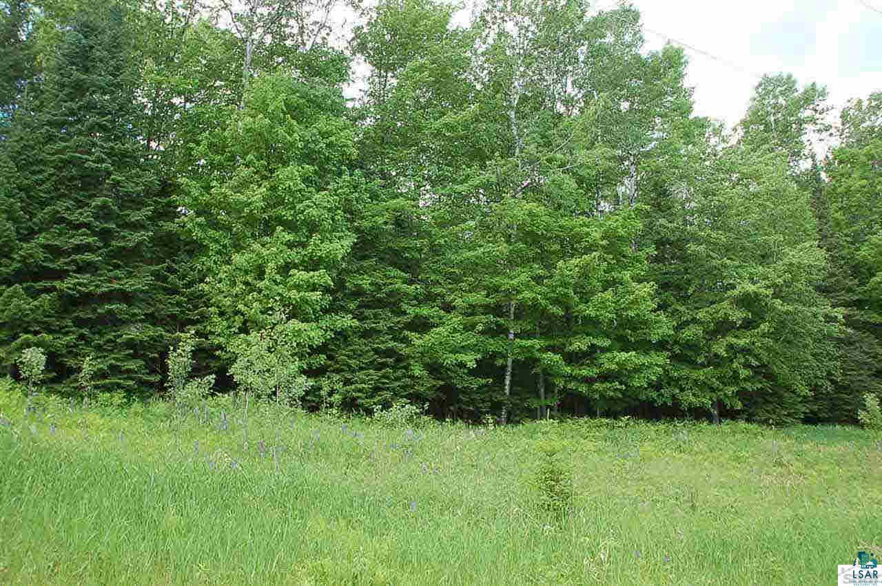 81265 McCulloch Road Bayfield, WI 54814 - Photo 5 of 9 Gallery Image 5