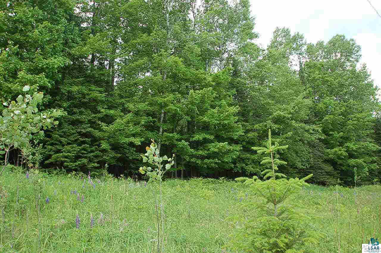 81265 McCulloch Road Bayfield, WI 54814 - Photo 6 of 9 Gallery Image 6