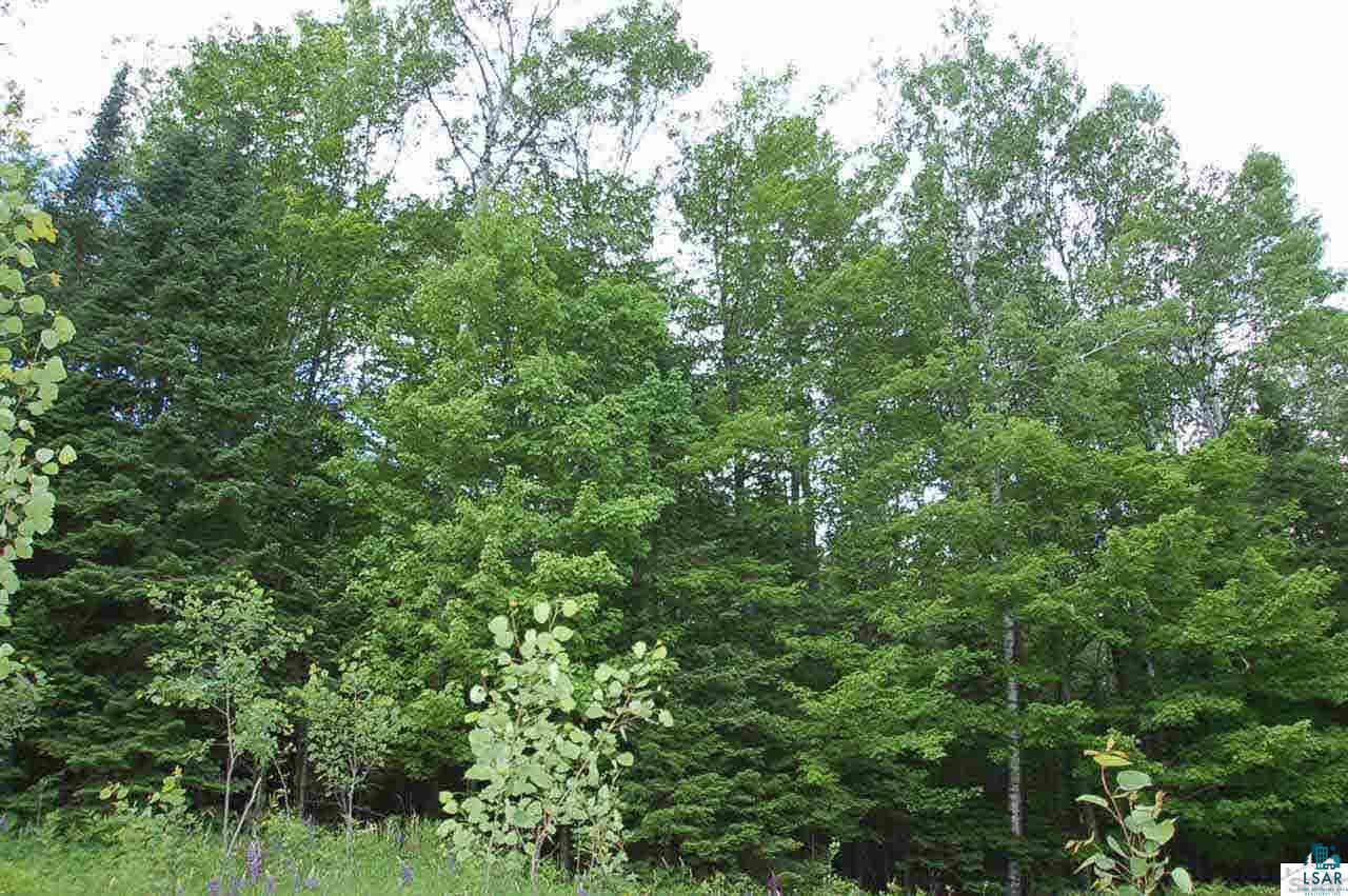 81265 McCulloch Road Bayfield, WI 54814 - Photo 7 of 9 Gallery Image 7