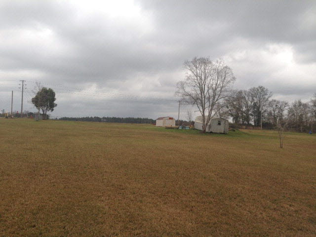 15050 Barlow Road Loxley, AL 36551 - Photo 7 of 7