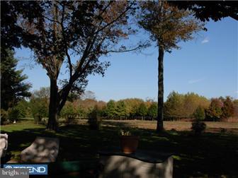 1009 Old York Road Hightstown, NJ 08520 - Photo 6 of 16 View