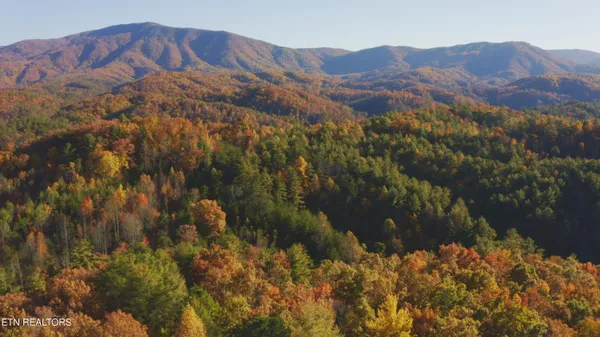 $549,000 | 410 Seay Hollow Road, Del Rio, TN 37727