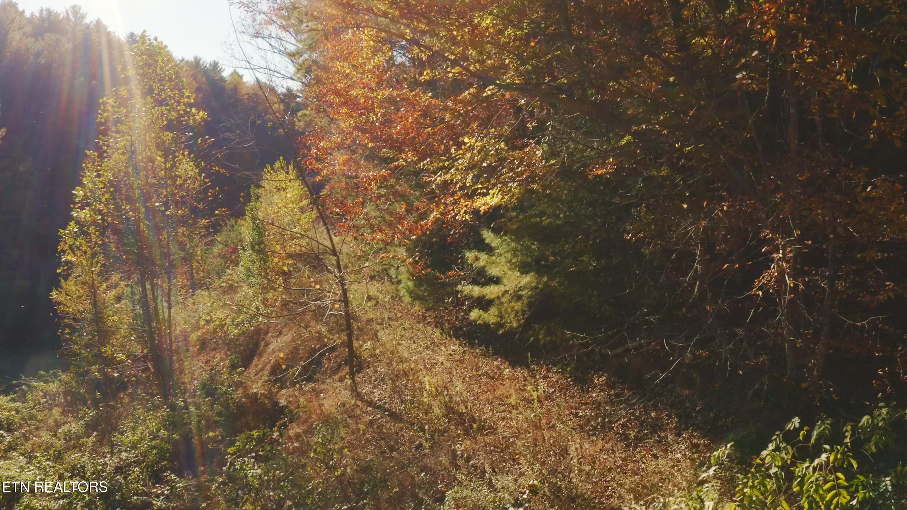 410 Seay Hollow Road Del Rio, TN 37727 - Photo 13 of 34 Untitled_2.11.2