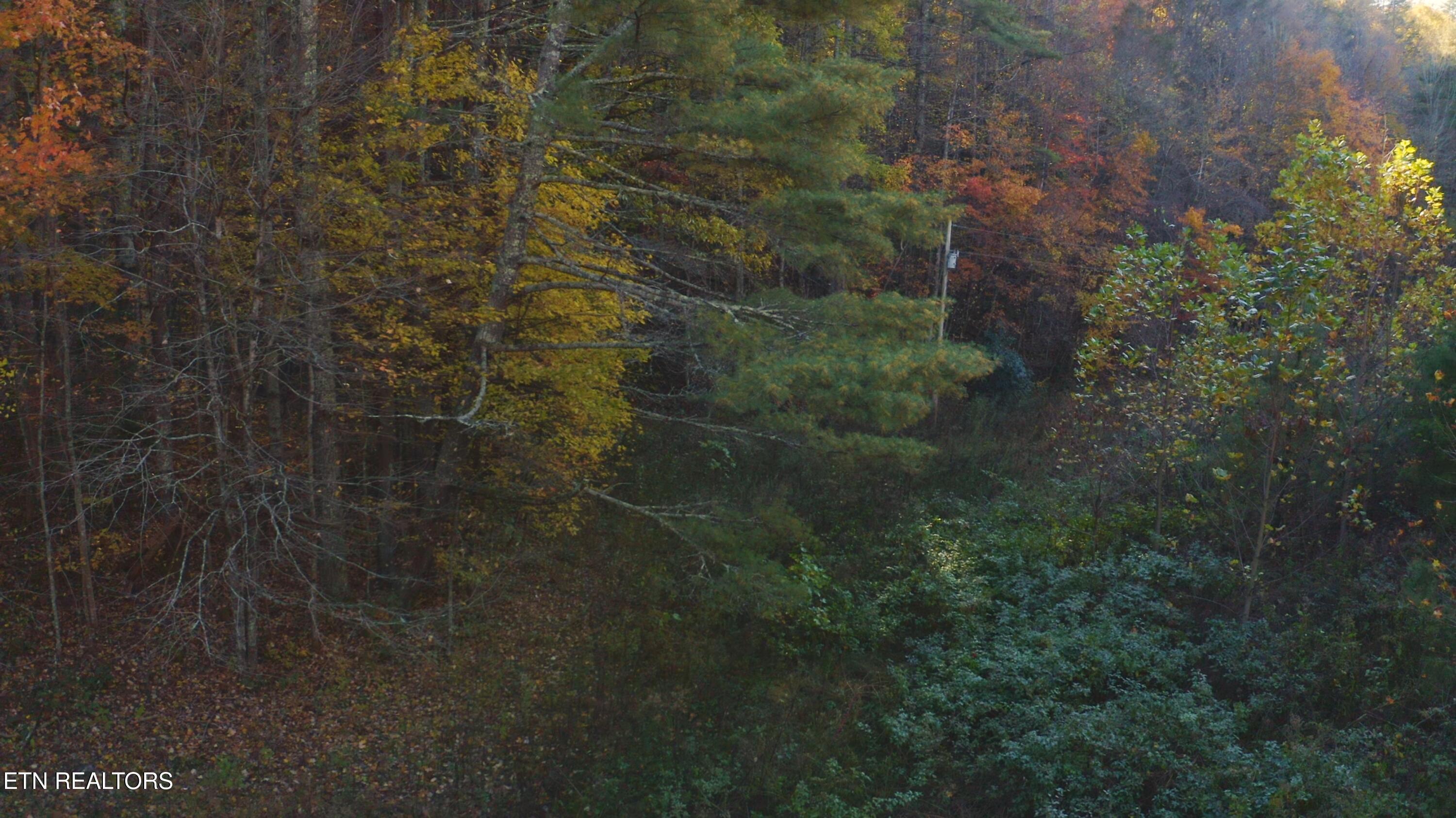 410 Seay Hollow Road Del Rio, TN 37727 - Photo 17 of 34 Untitled_2.13.2