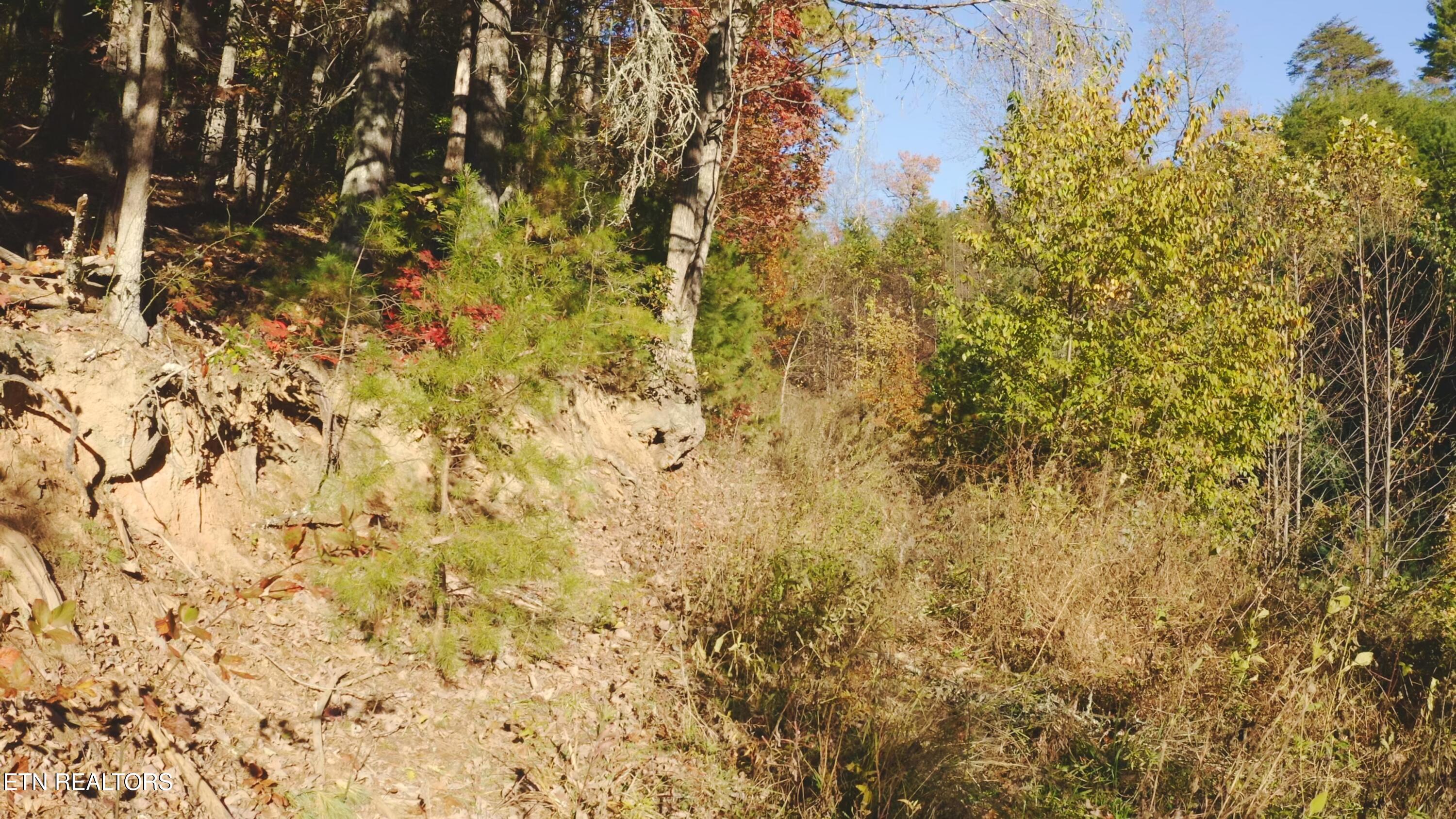 410 Seay Hollow Road Del Rio, TN 37727 - Photo 18 of 34 Untitled_2.14.1