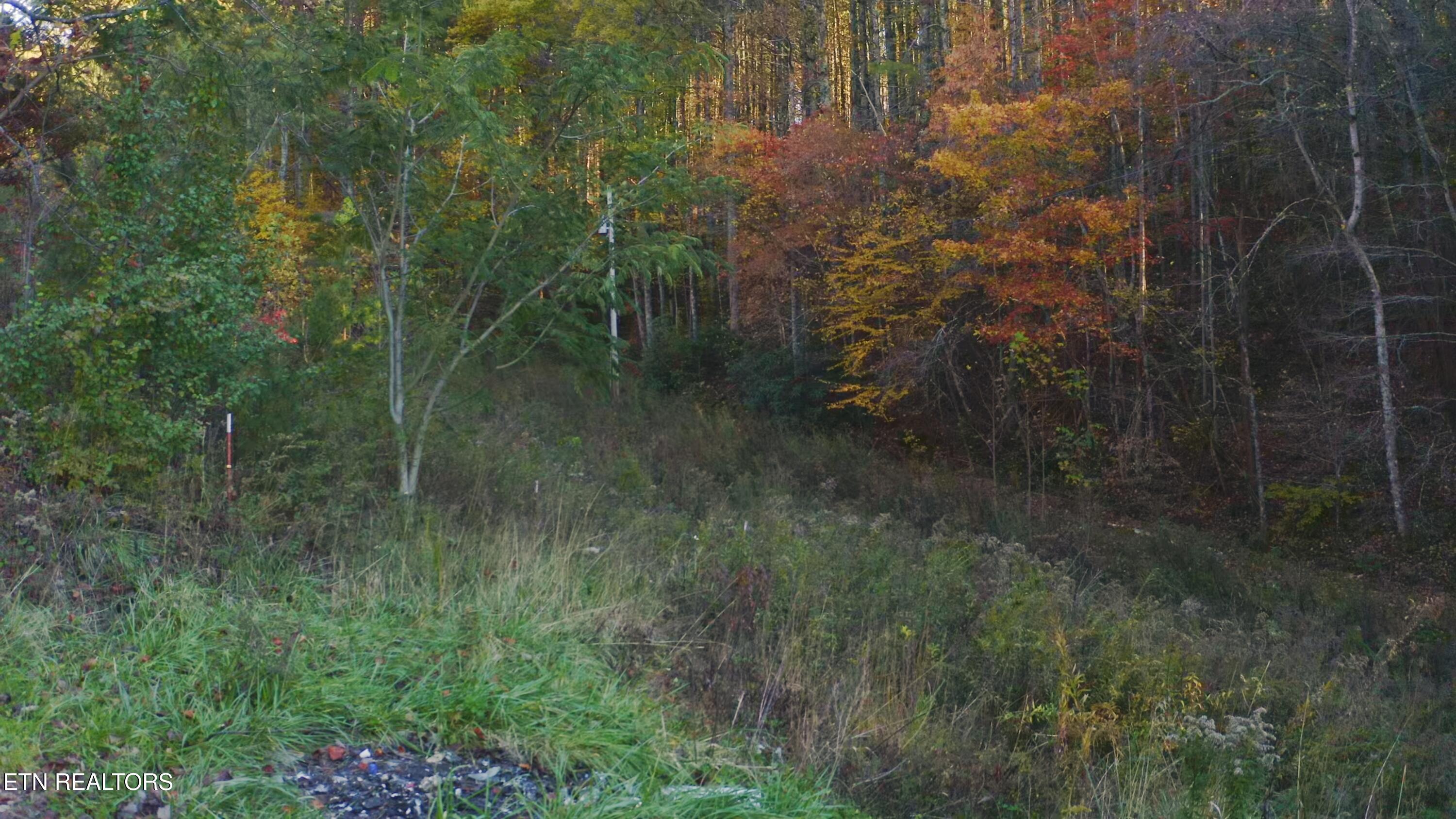 410 Seay Hollow Road Del Rio, TN 37727 - Photo 19 of 34 Untitled_2.15.1