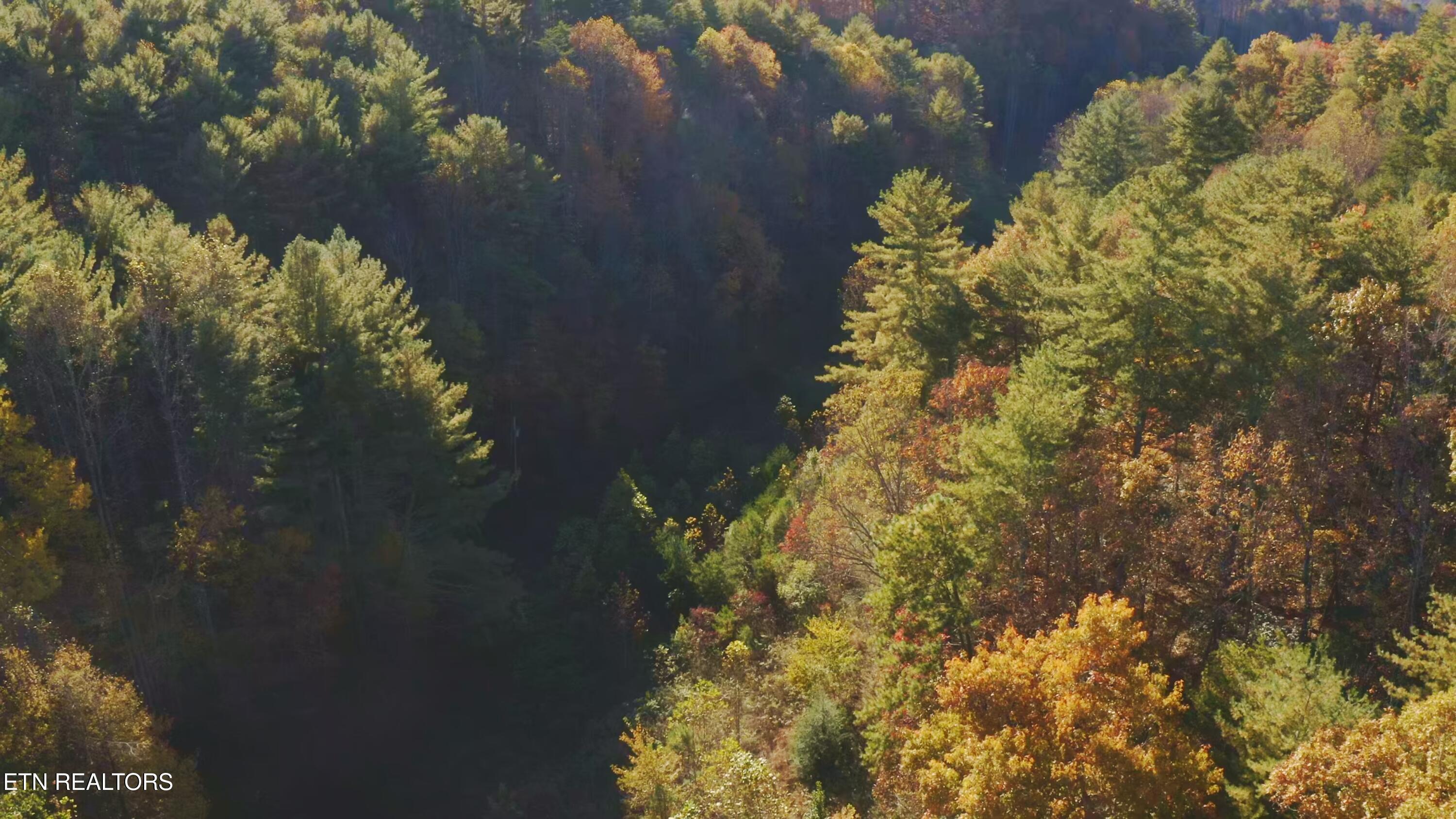 410 Seay Hollow Road Del Rio, TN 37727 - Photo 2 of 34 Untitled_2.2.1