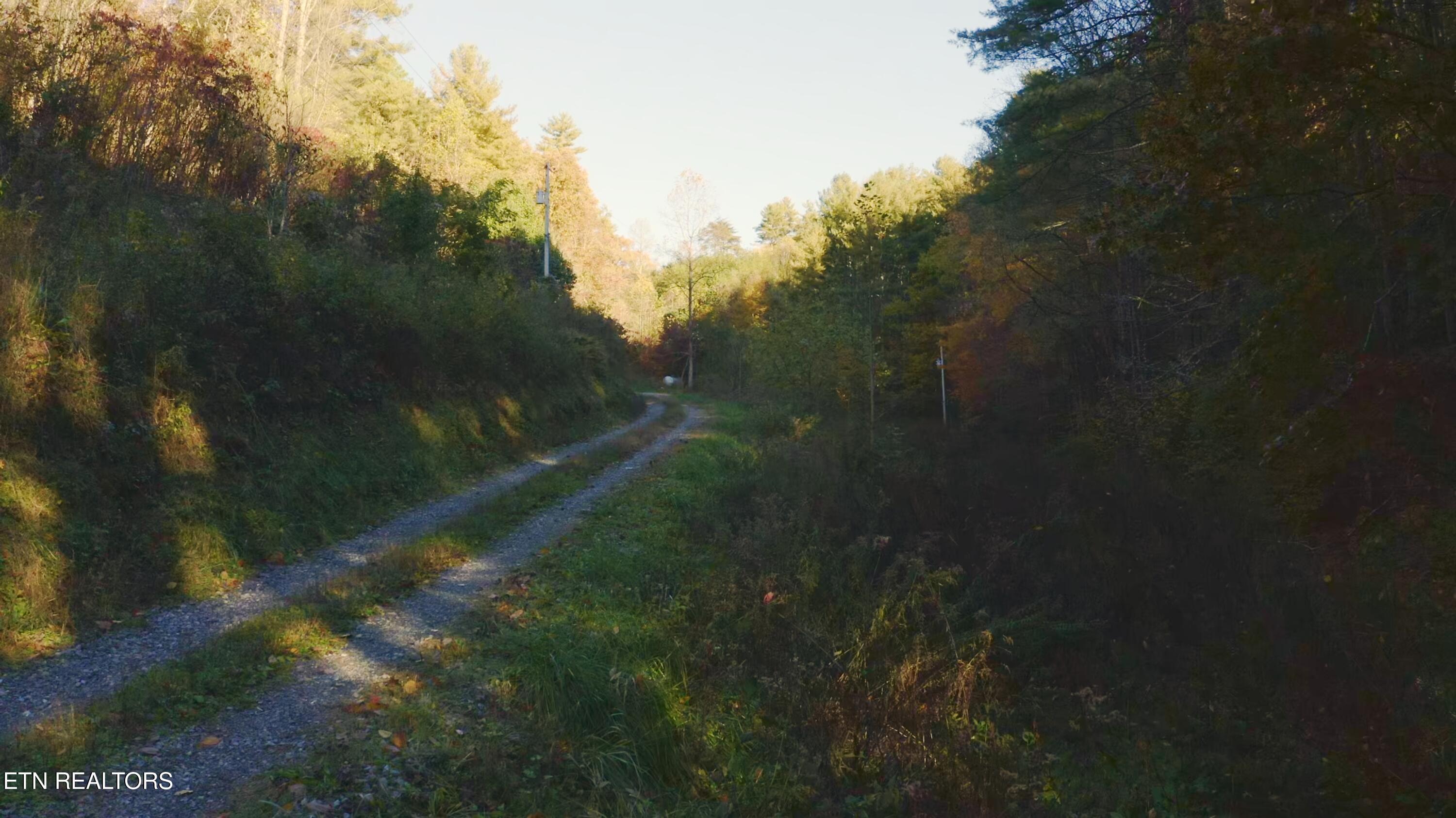 410 Seay Hollow Road Del Rio, TN 37727 - Photo 21 of 34 Untitled_2.17.1