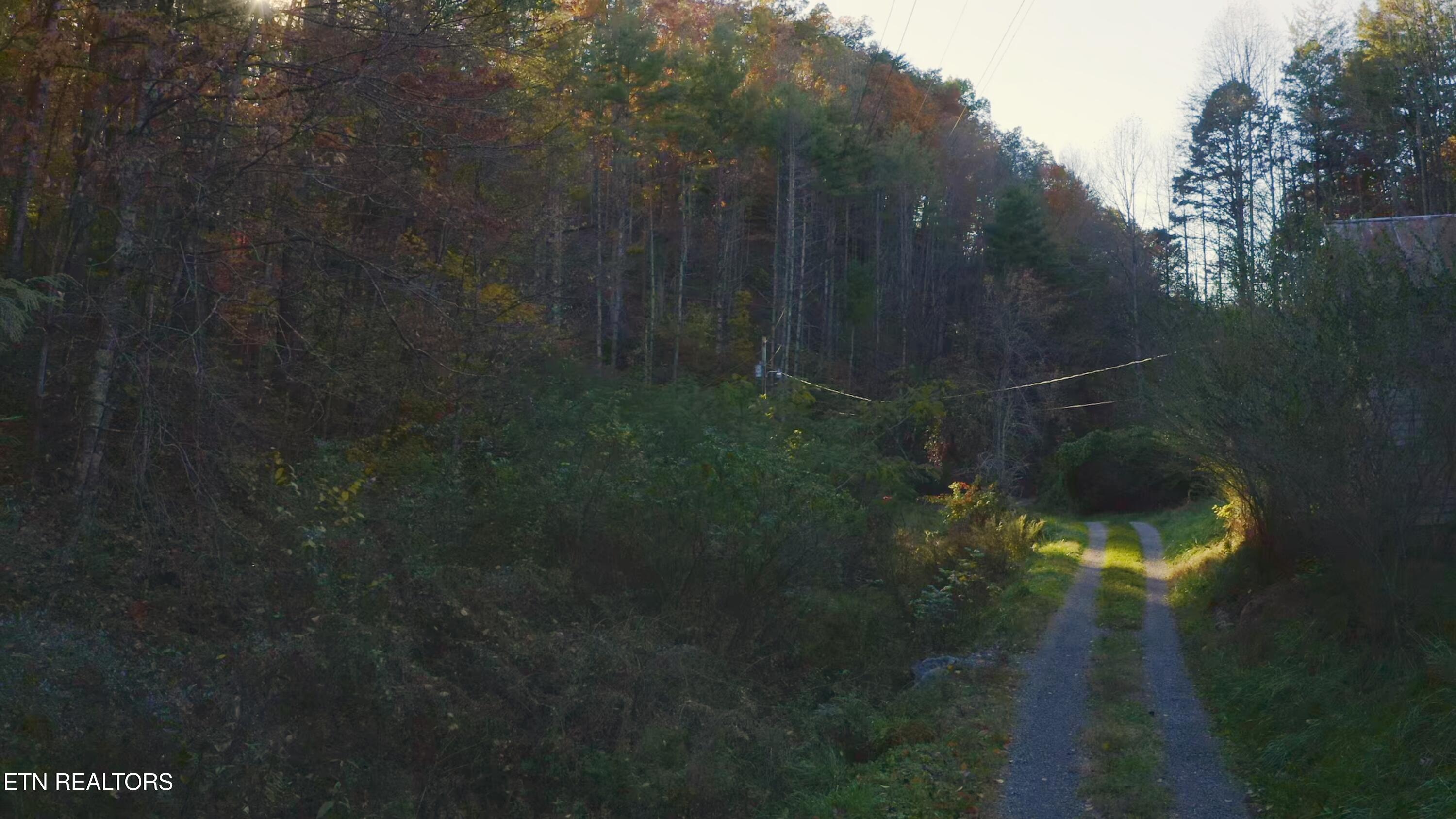 410 Seay Hollow Road Del Rio, TN 37727 - Photo 23 of 34 Untitled_2.18.1