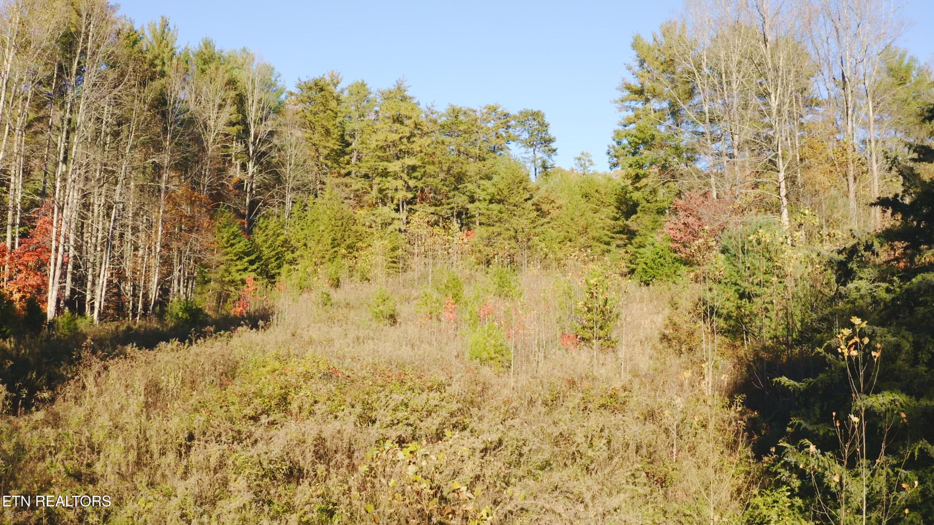 410 Seay Hollow Road Del Rio, TN 37727 - Photo 25 of 34 Untitled_2.19.2