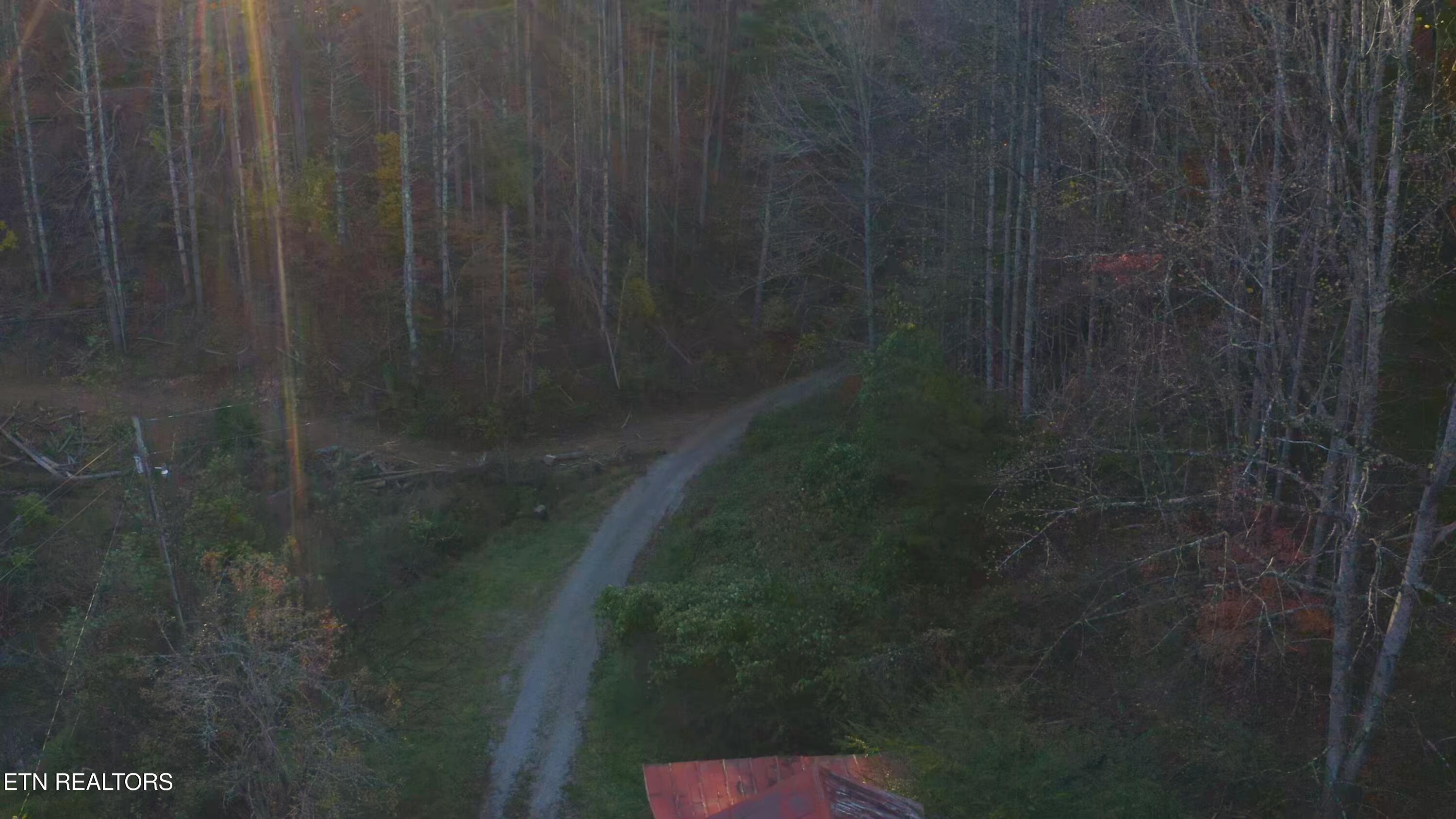 410 Seay Hollow Road Del Rio, TN 37727 - Photo 26 of 34 Untitled_2.20.1