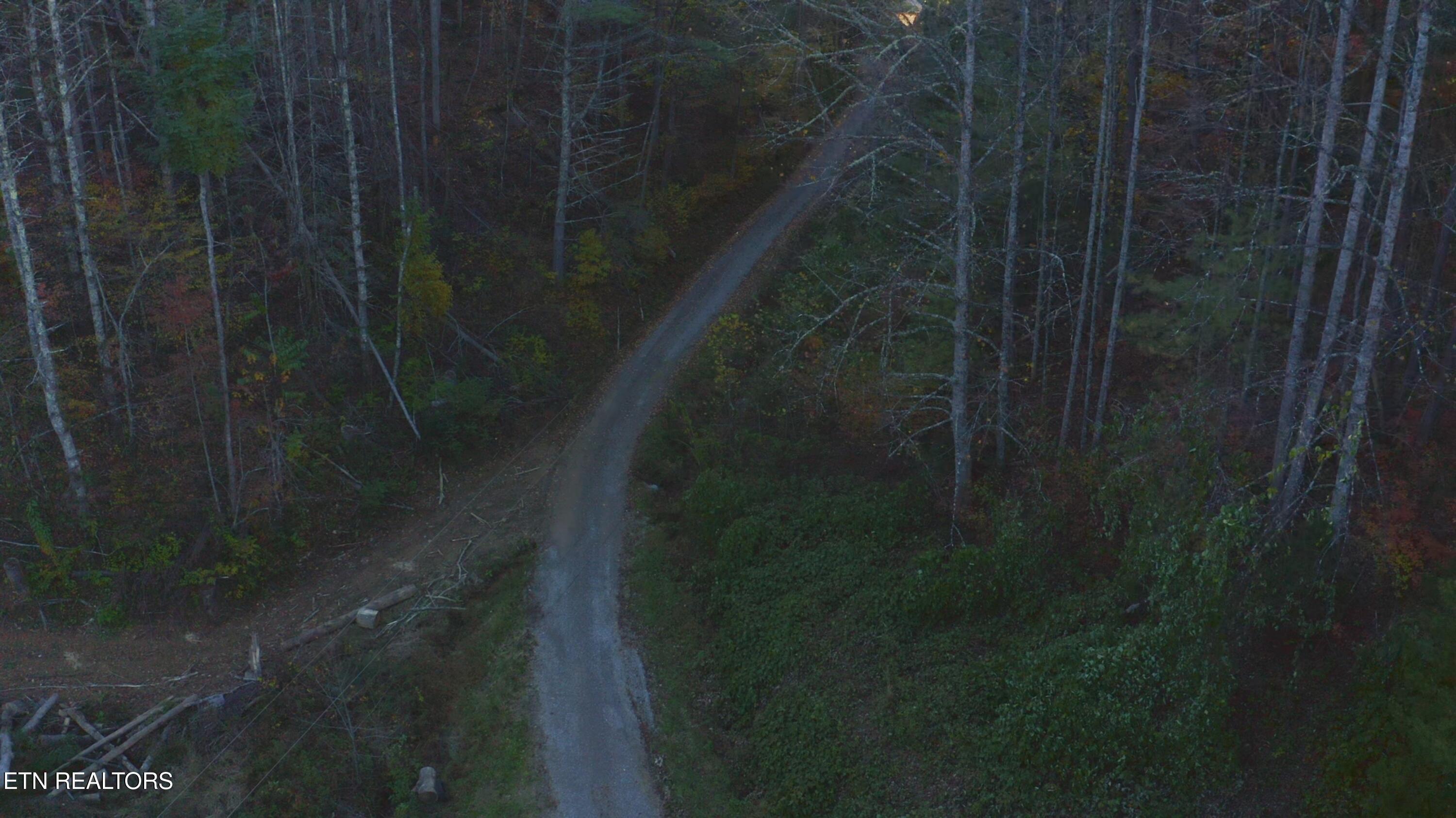 410 Seay Hollow Road Del Rio, TN 37727 - Photo 27 of 34 Untitled_2.20.2