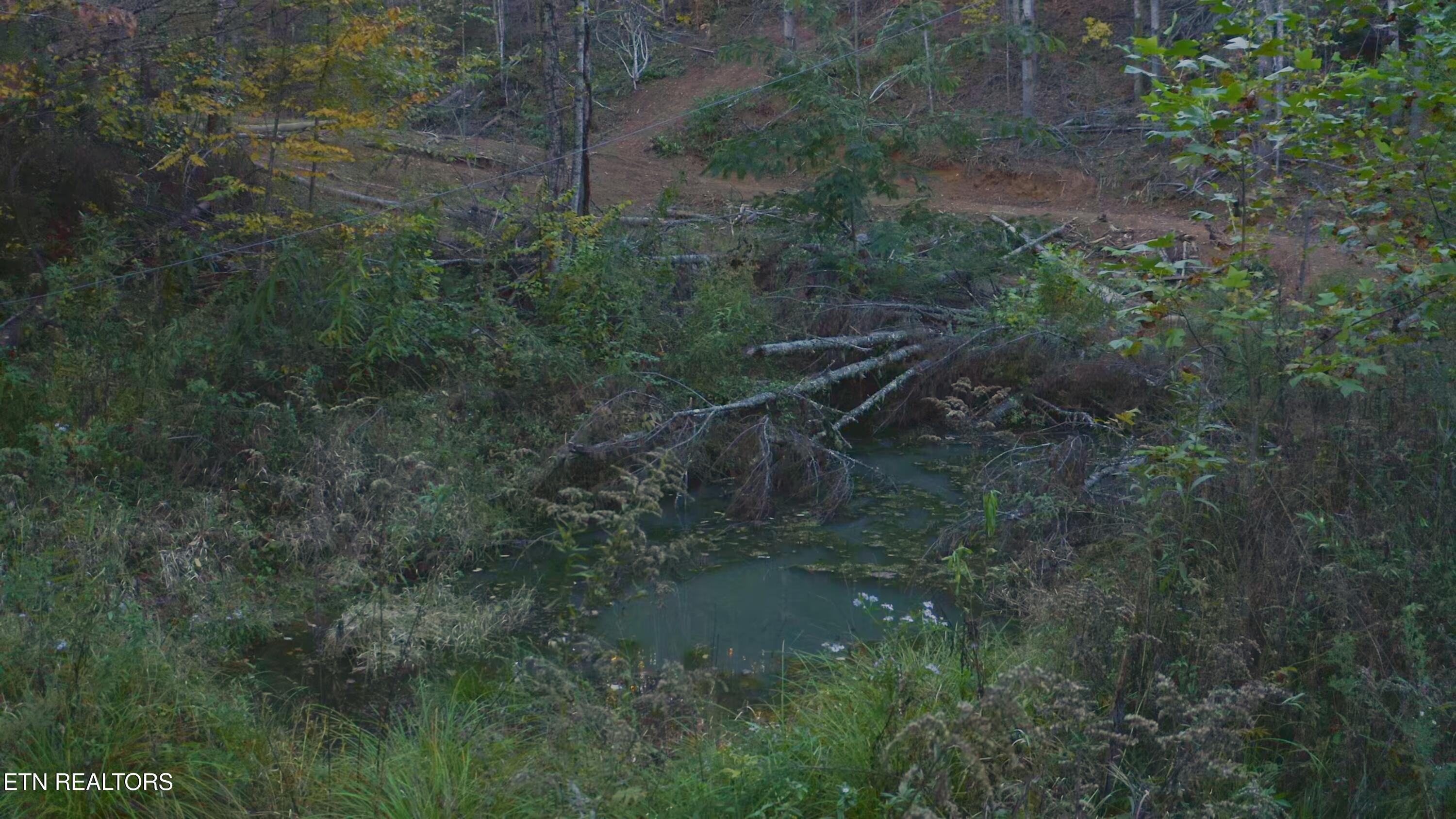 410 Seay Hollow Road Del Rio, TN 37727 - Photo 28 of 34 Untitled_2.21.1