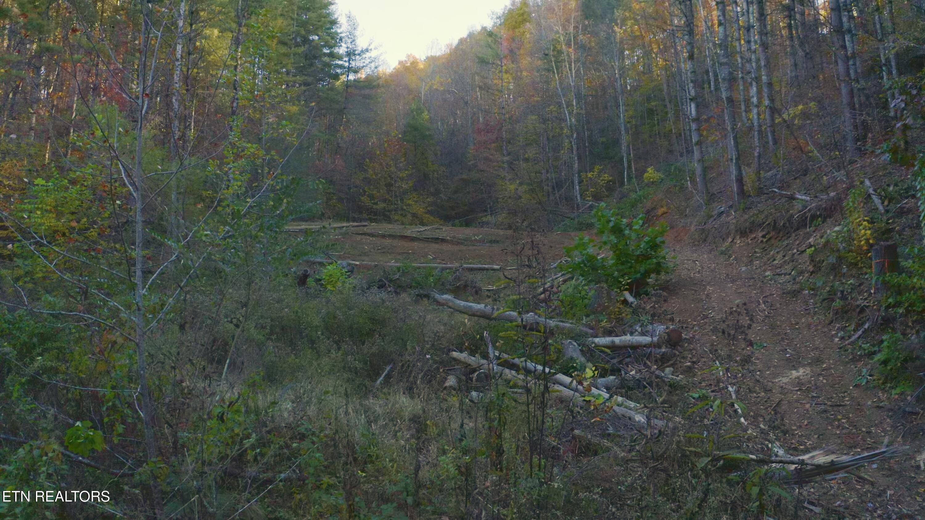 410 Seay Hollow Road Del Rio, TN 37727 - Photo 29 of 34 Untitled_2.22.1