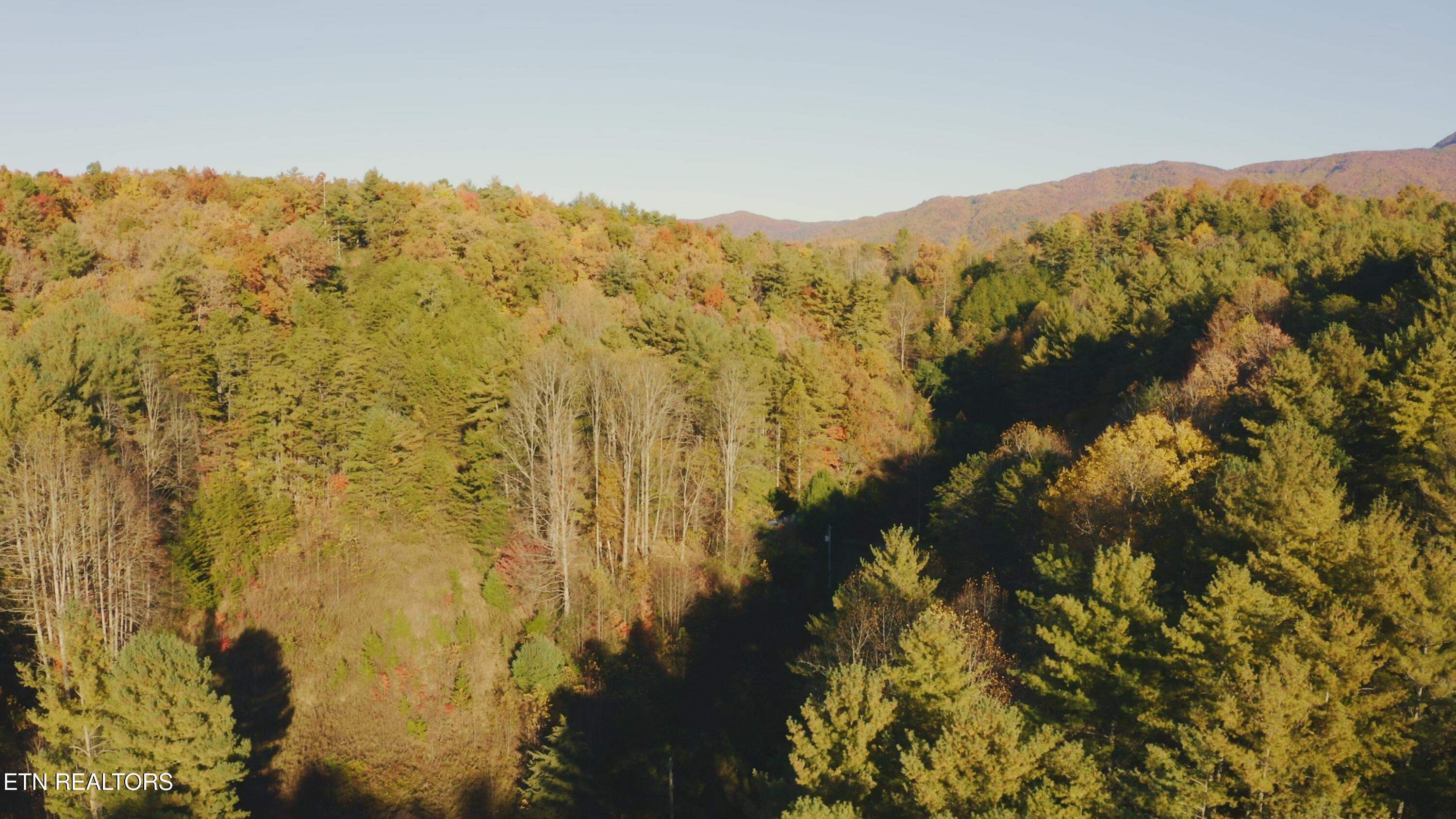 410 Seay Hollow Road Del Rio, TN 37727 - Photo 30 of 34 Untitled_2.23.1