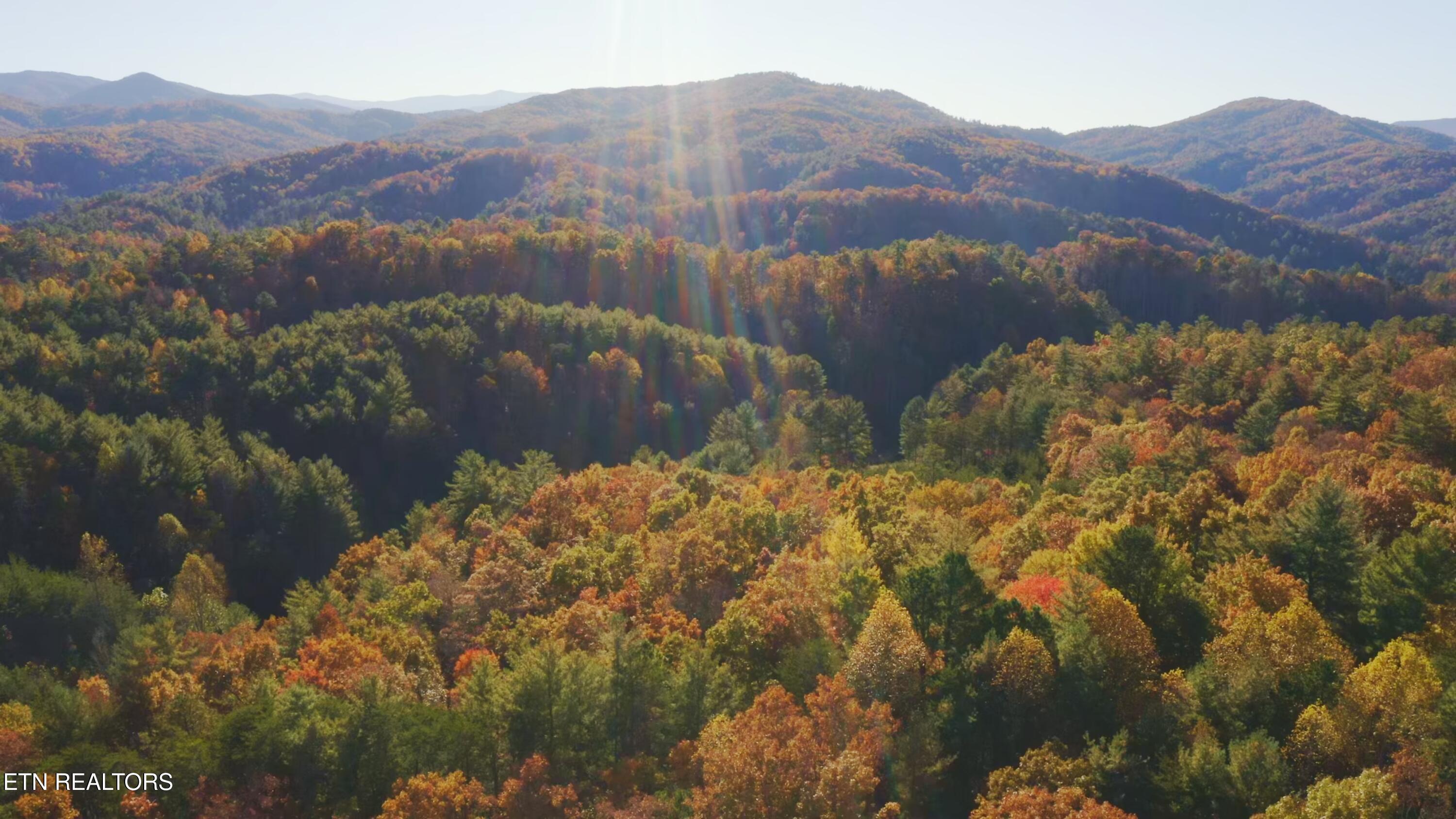 410 Seay Hollow Road Del Rio, TN 37727 - Photo 31 of 34 Untitled_2.24.1